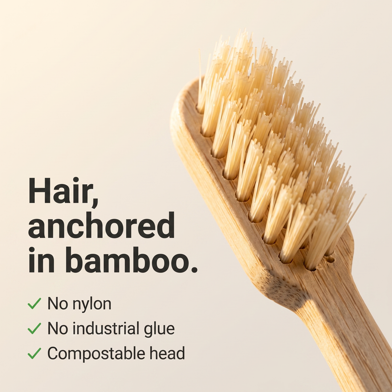 Natural horsehair bristles anchored in a bamboo brush head
