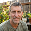 Robert P.